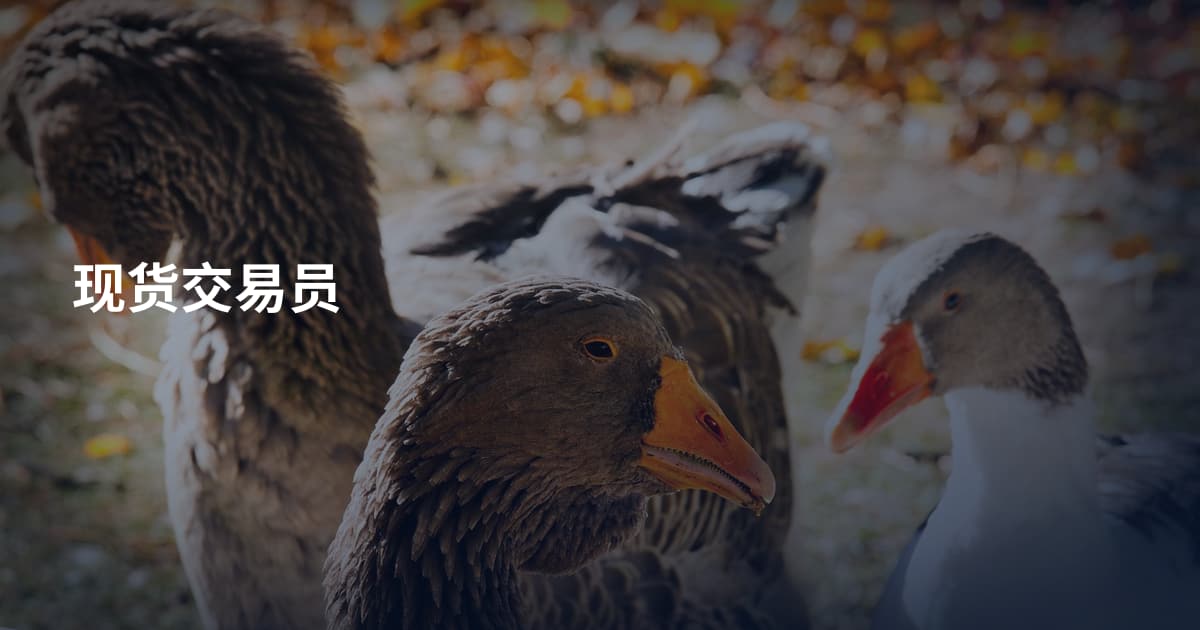 现货交易员