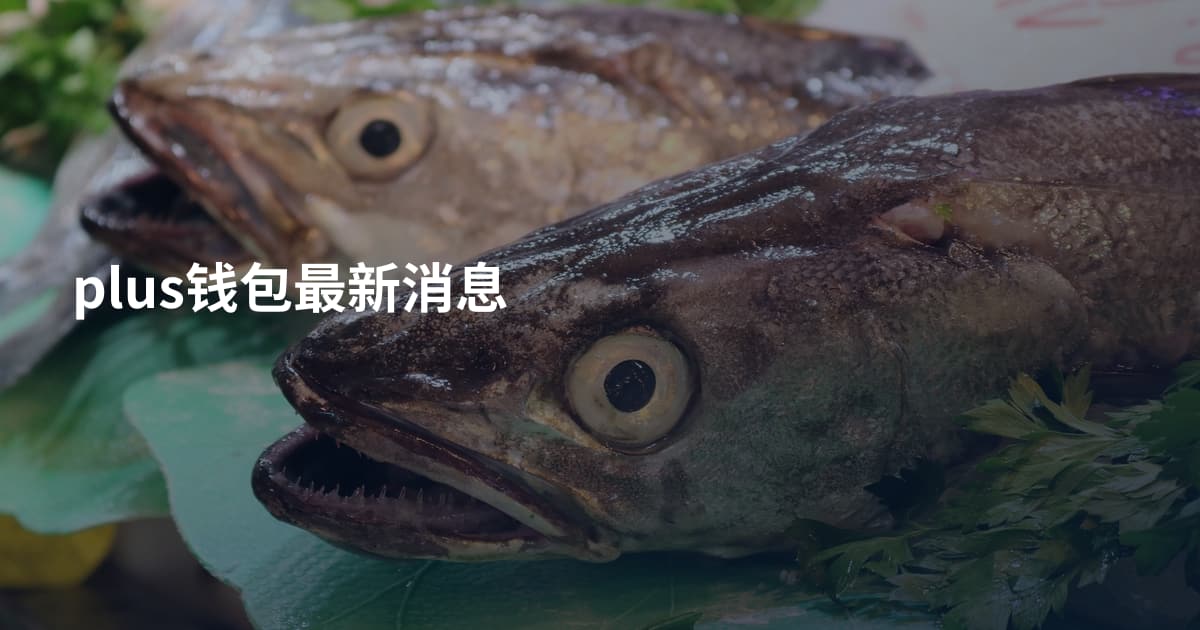 plus钱包最新消息