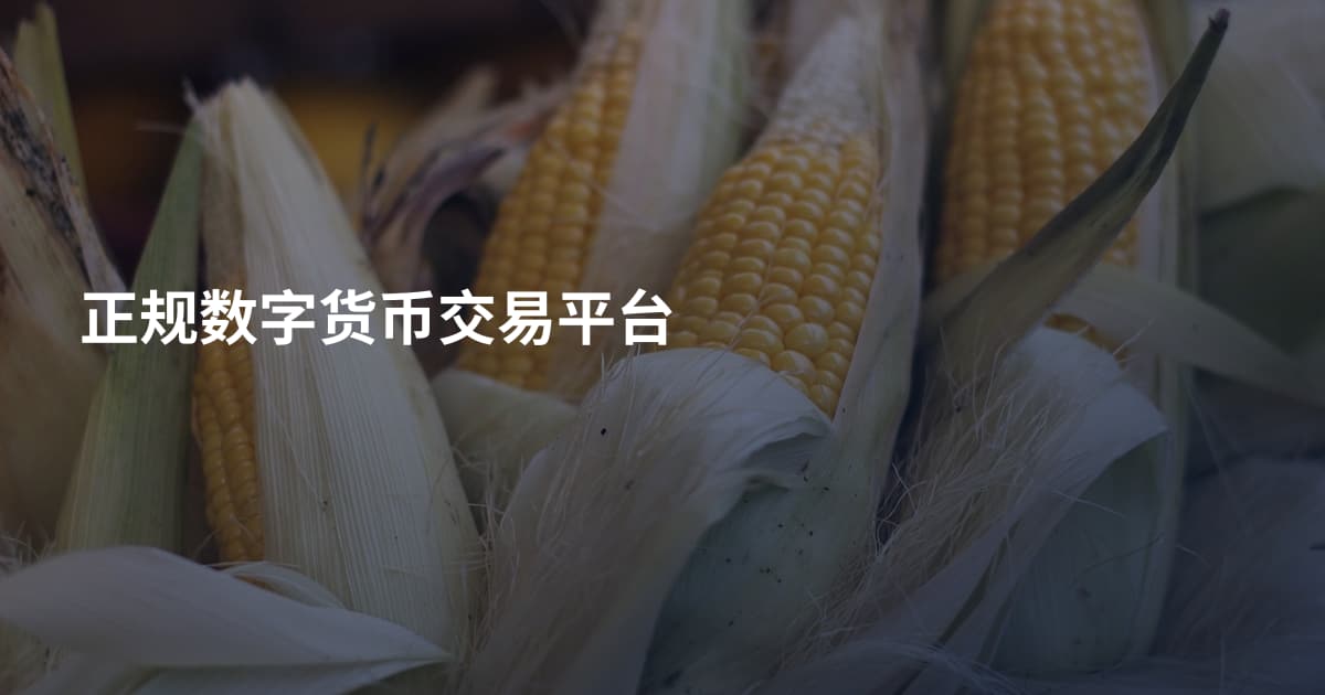正规数字货币交易平台