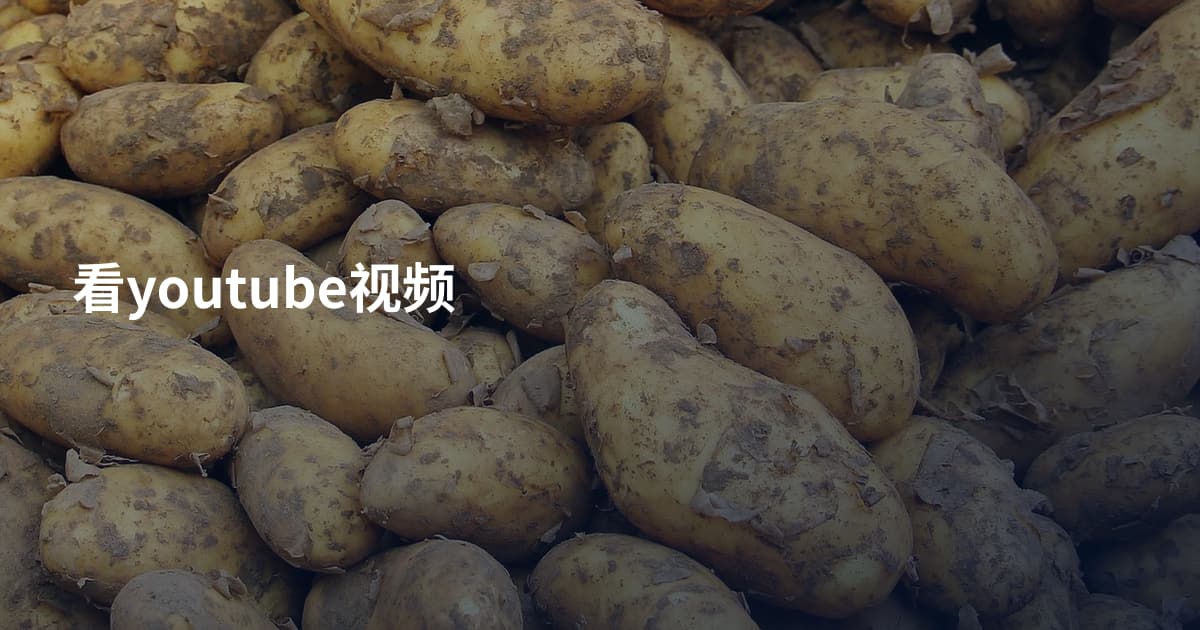 看youtube视频