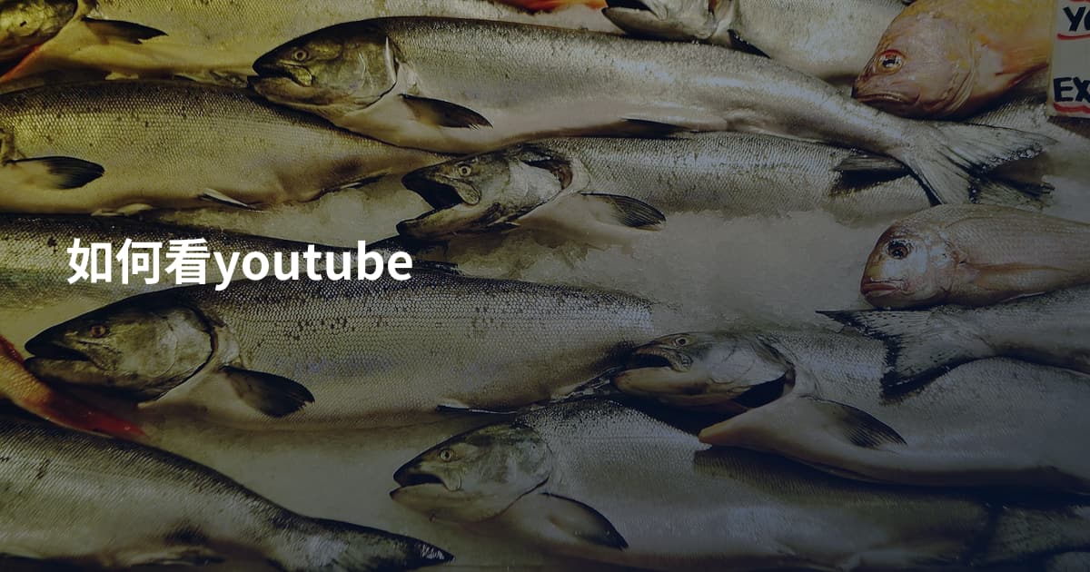 如何看youtube