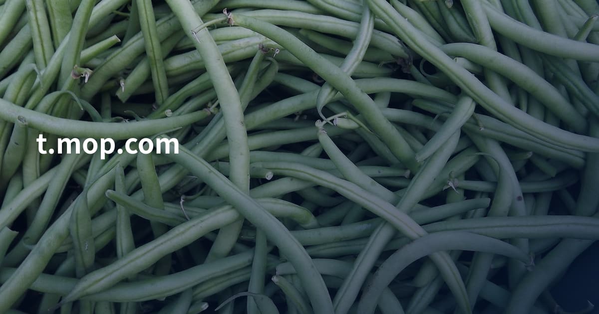 t.mop.com