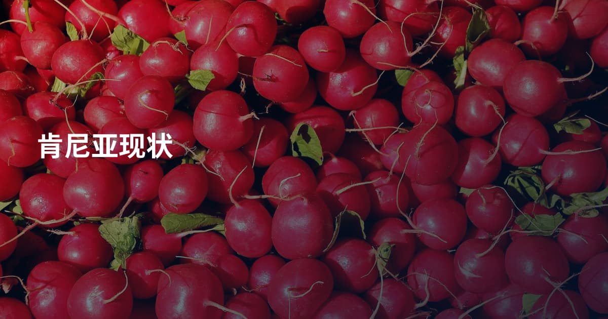 肯尼亚现状