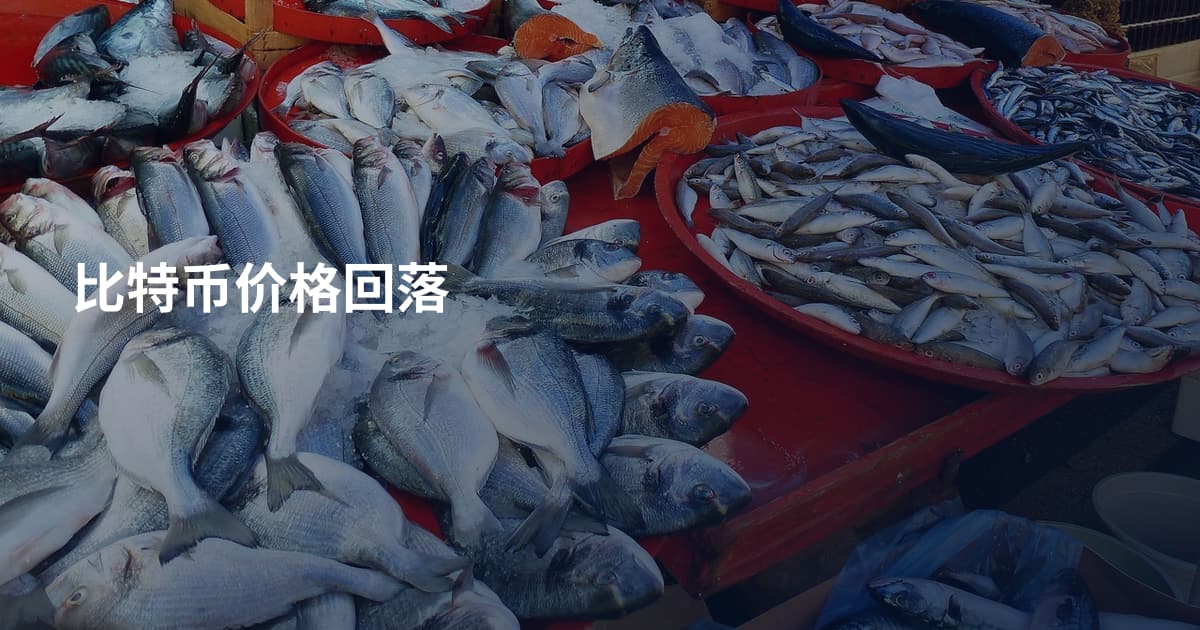 比特币价格回落