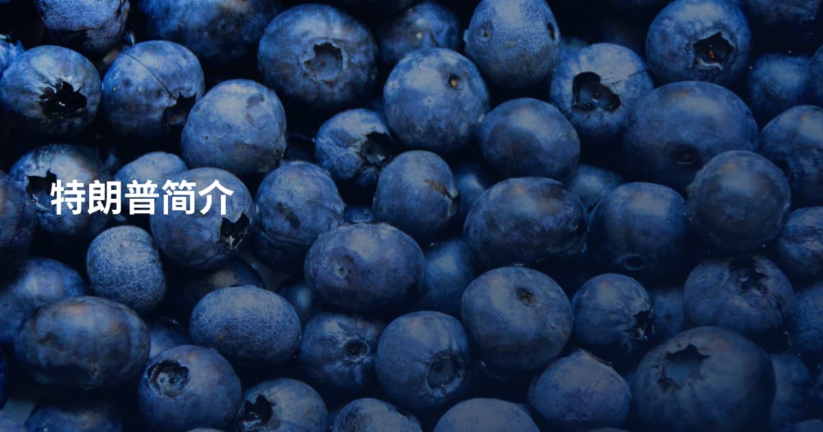 特朗普简介