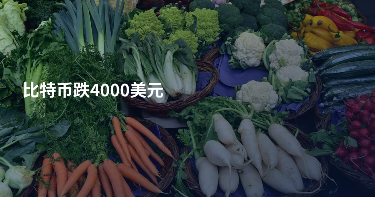 比特币跌4000美元