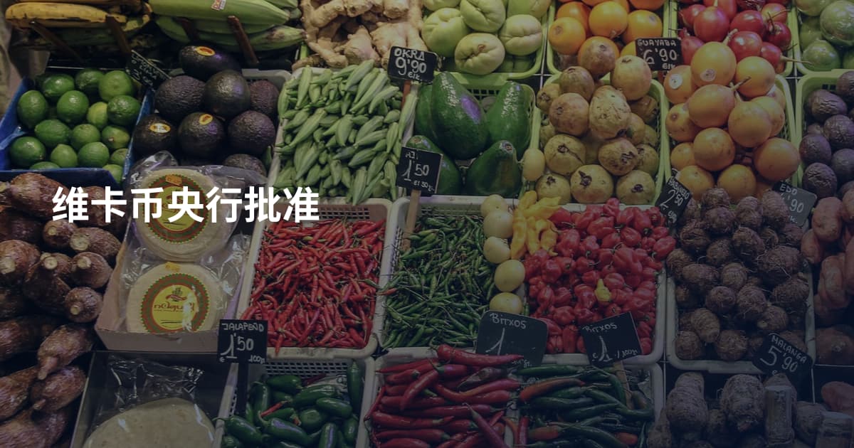 维卡币央行批准
