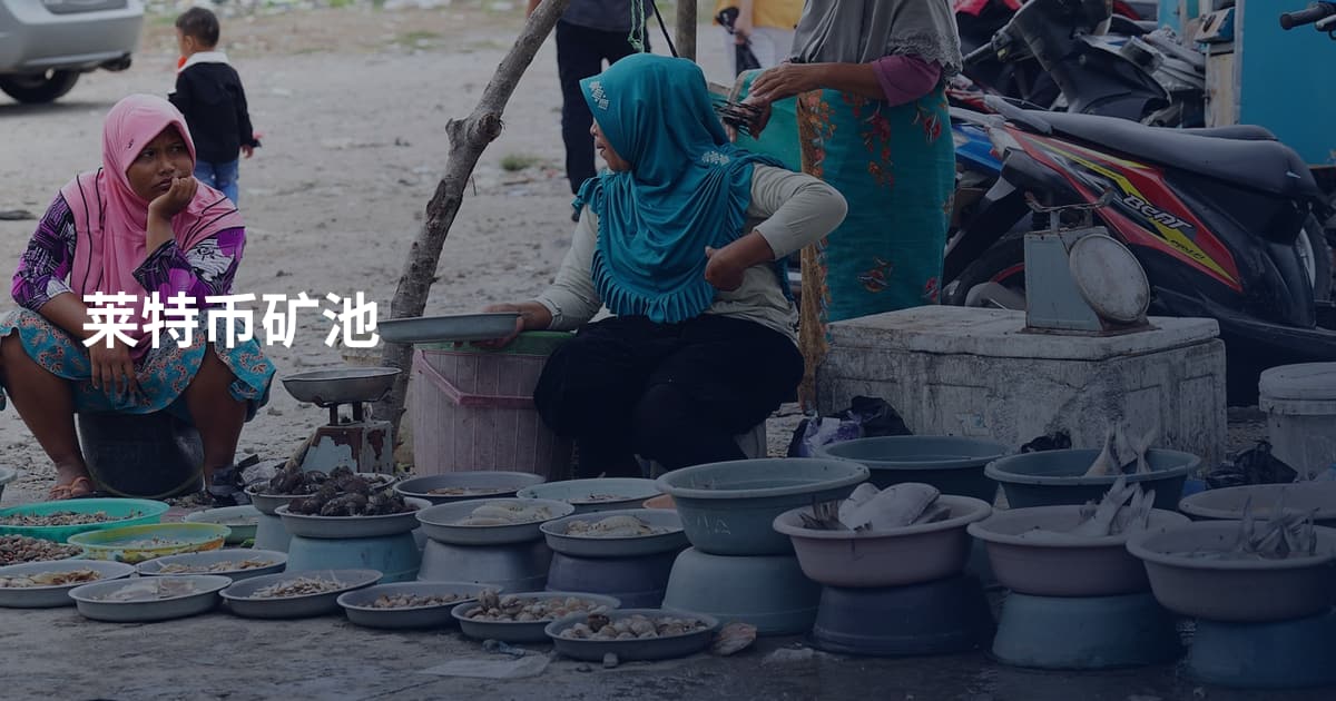 莱特币矿池