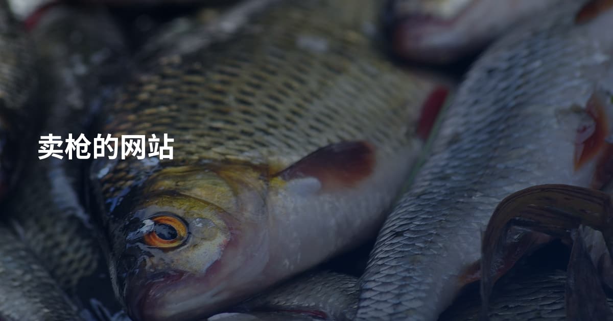 卖枪的网站