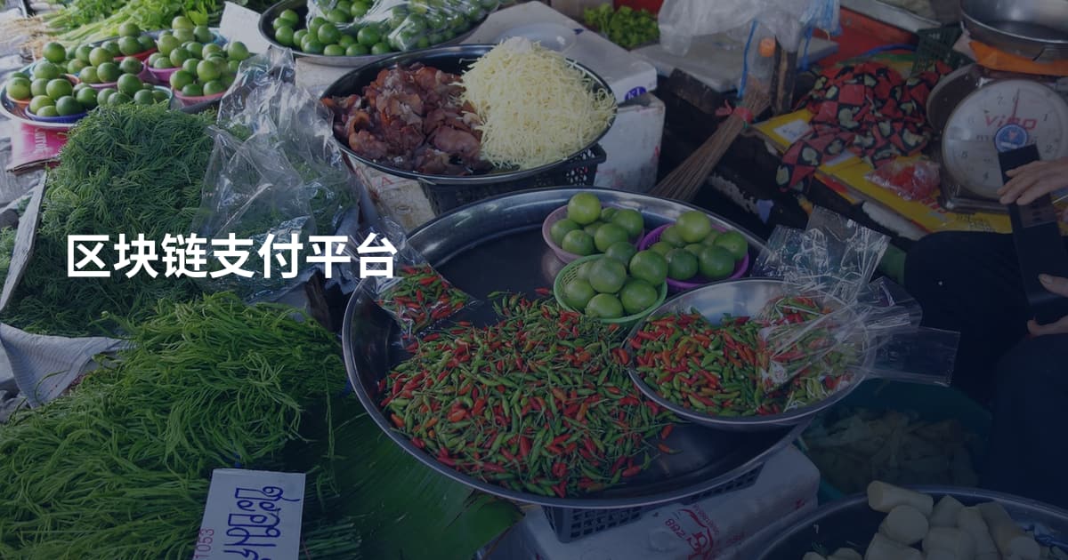 区块链支付平台