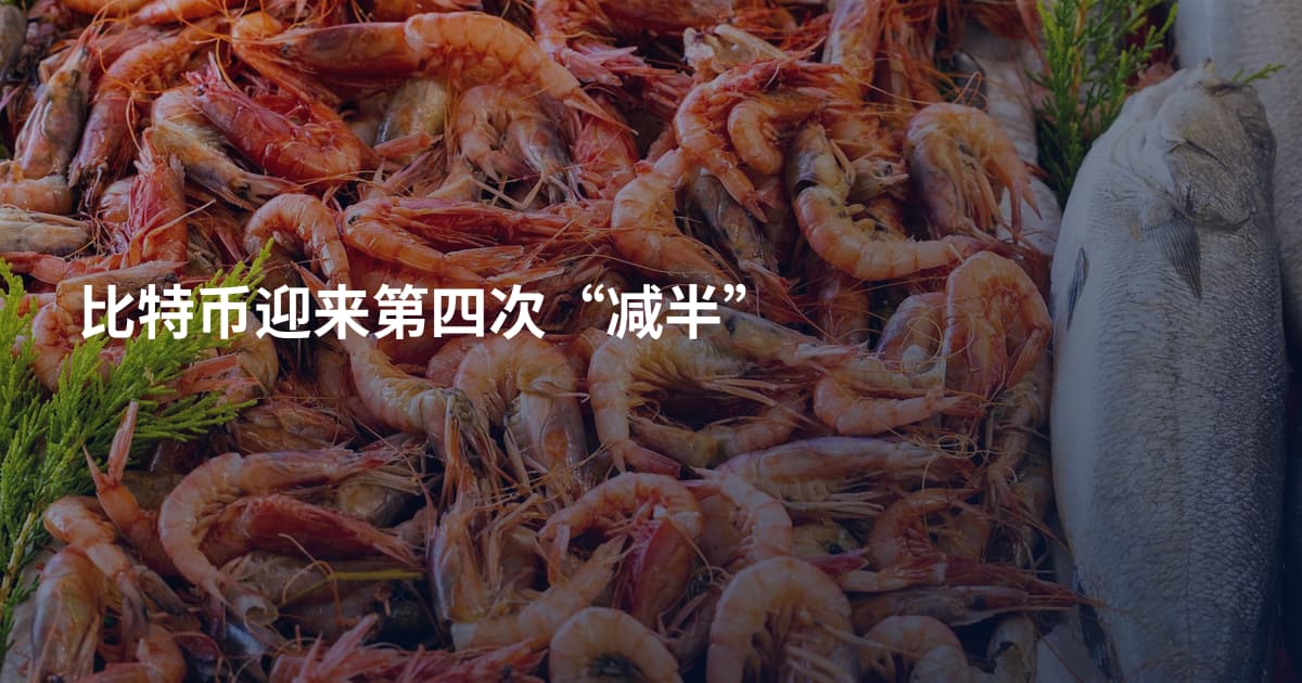 比特币迎来第四次“减半”