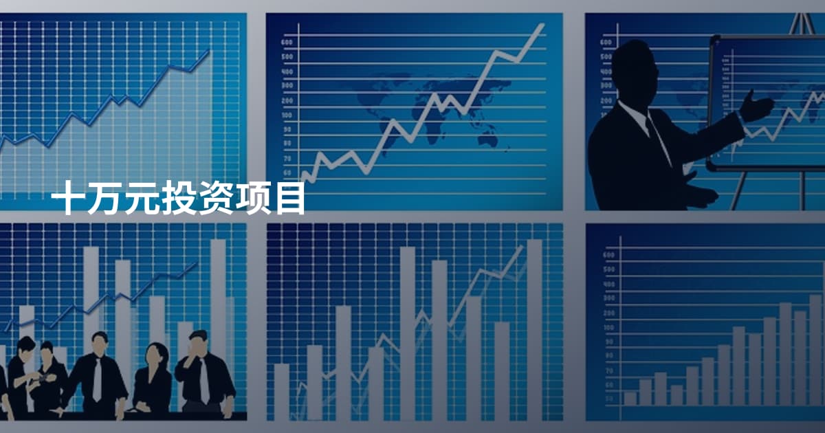 十万元投资项目