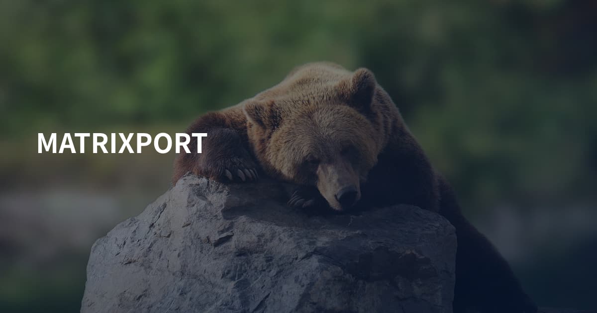 MATRIXPORT