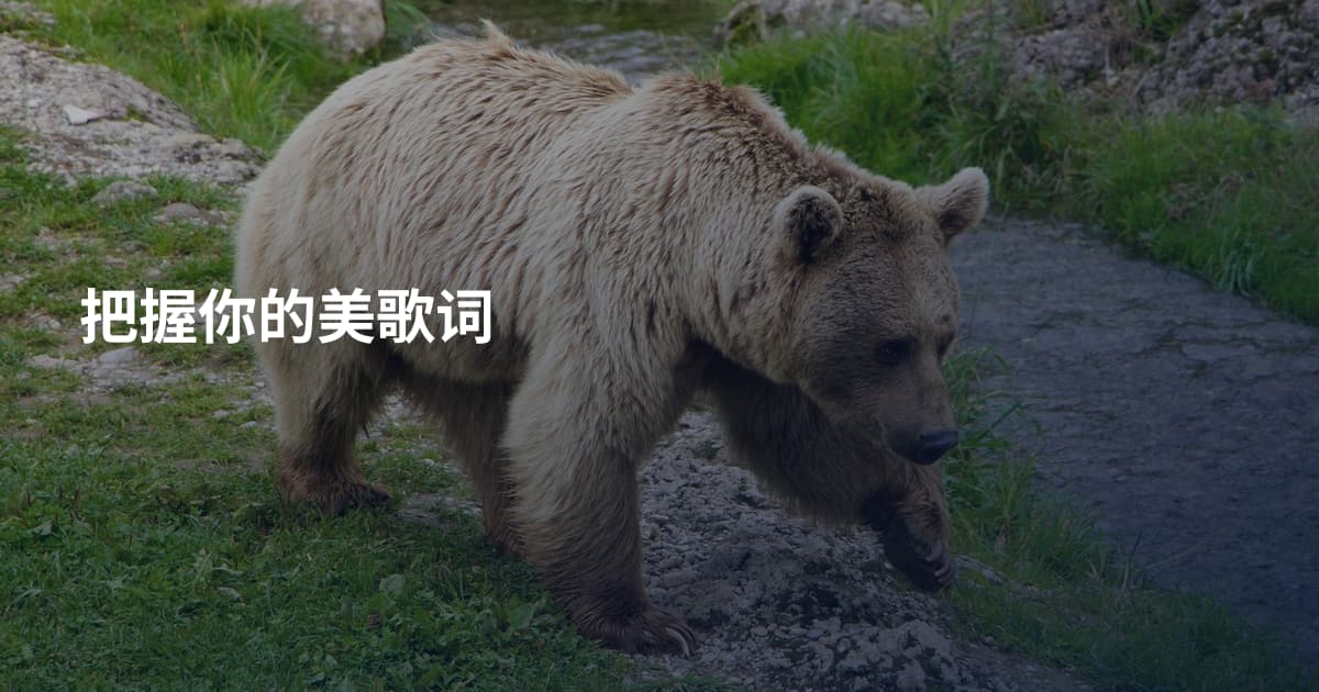 把握你的美歌词
