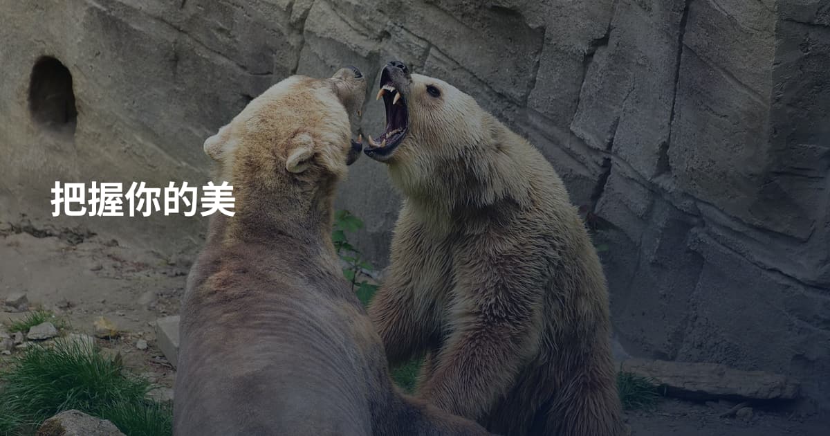 把握你的美