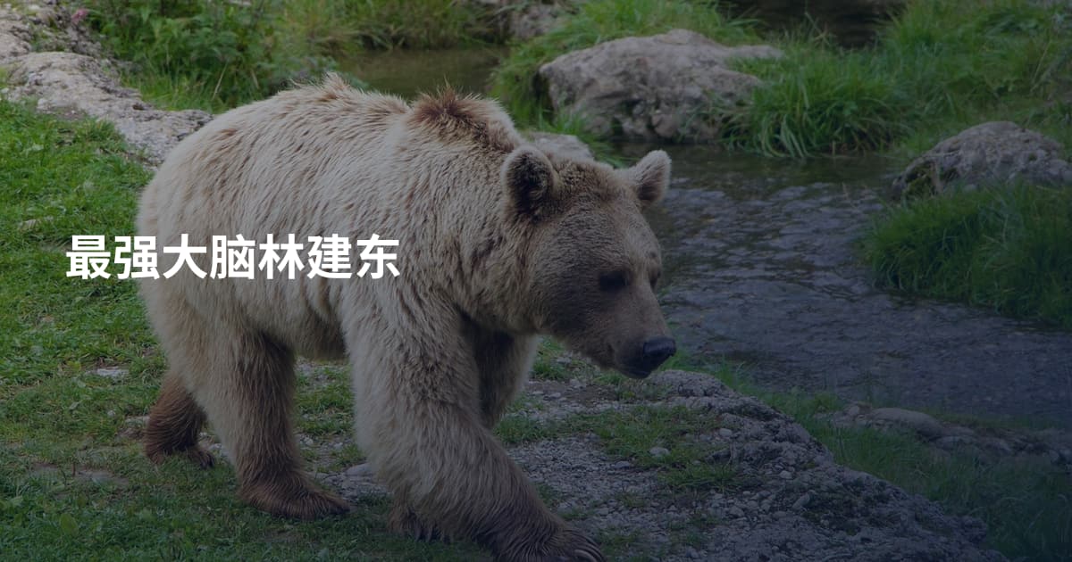 最强大脑林建东