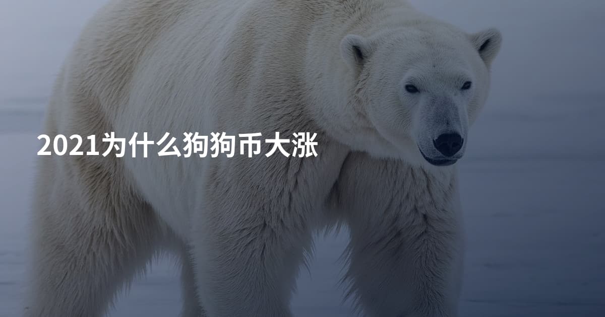 2021为什么狗狗币大涨