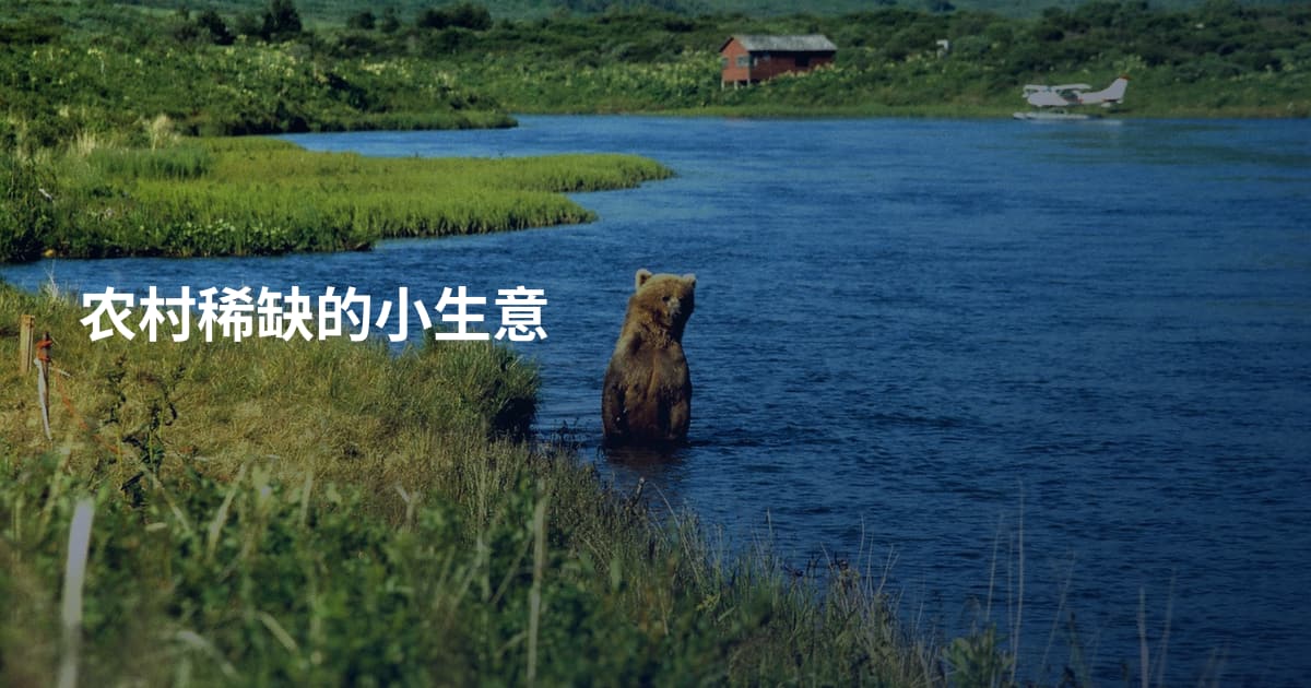 农村稀缺的小生意