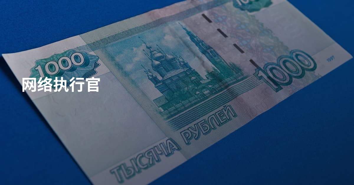 网络执行官