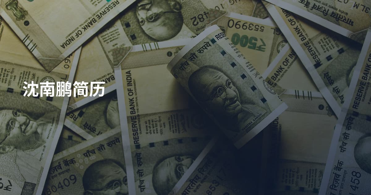 沈南鹏简历