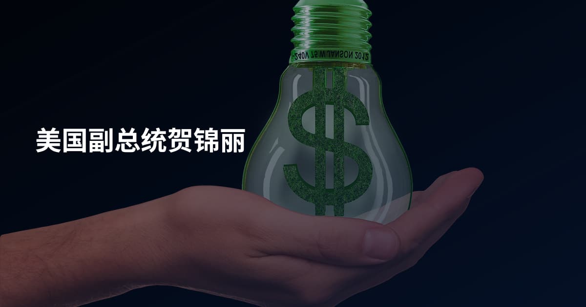 美国副总统贺锦丽