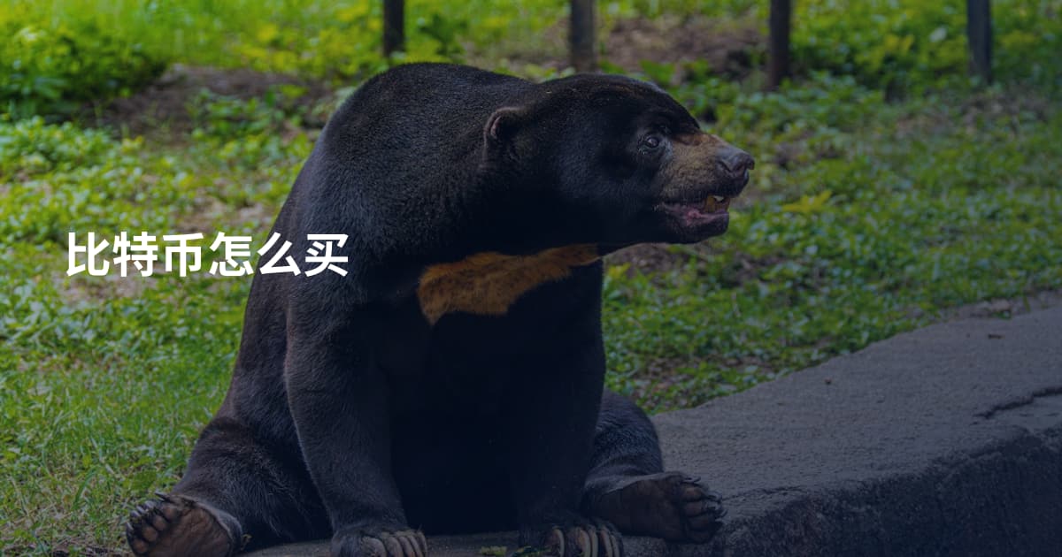 比特币怎么买
