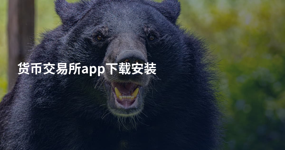 货币交易所app下载安装