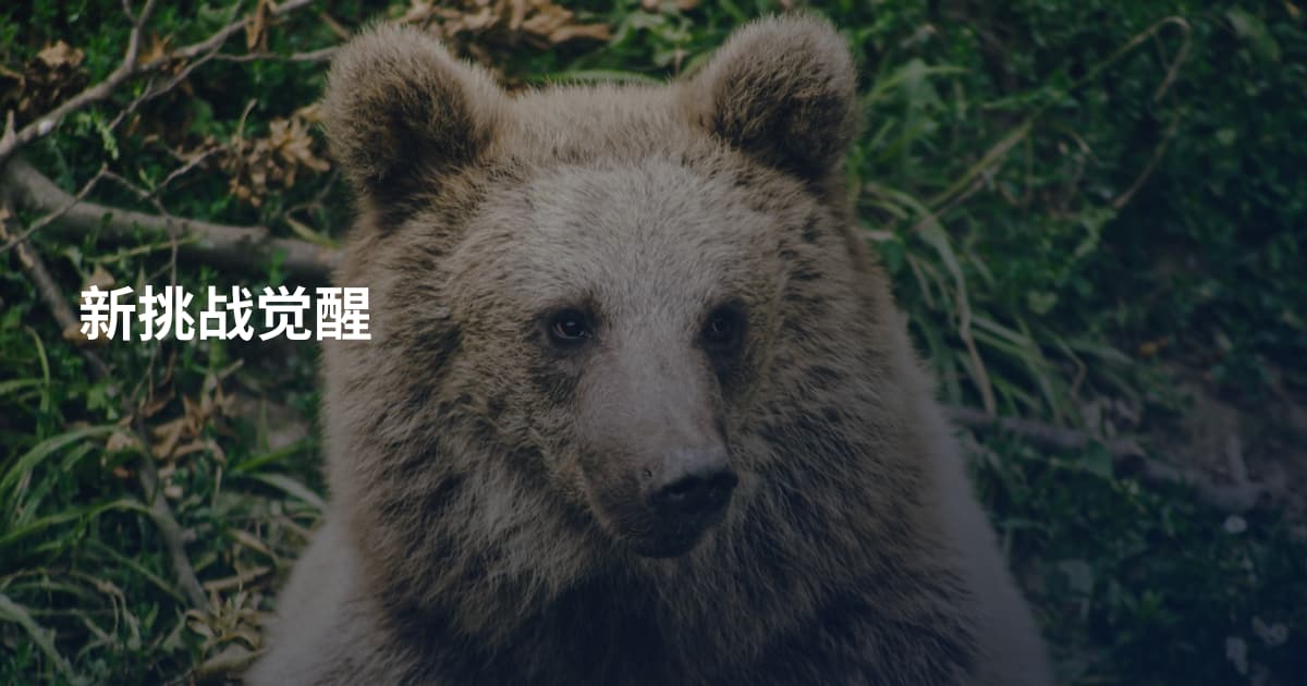 新挑战觉醒