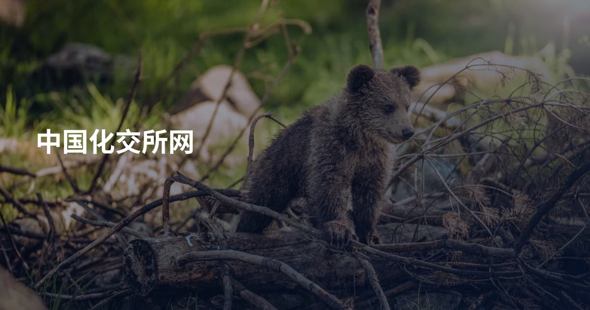 中国化交所网
