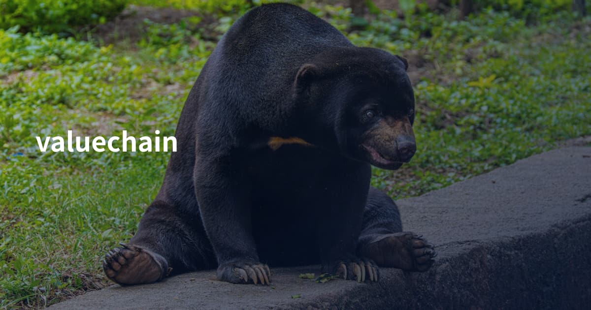 valuechain