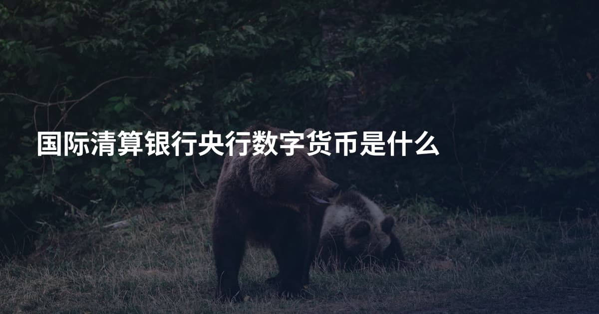 国际清算银行央行数字货币是什么