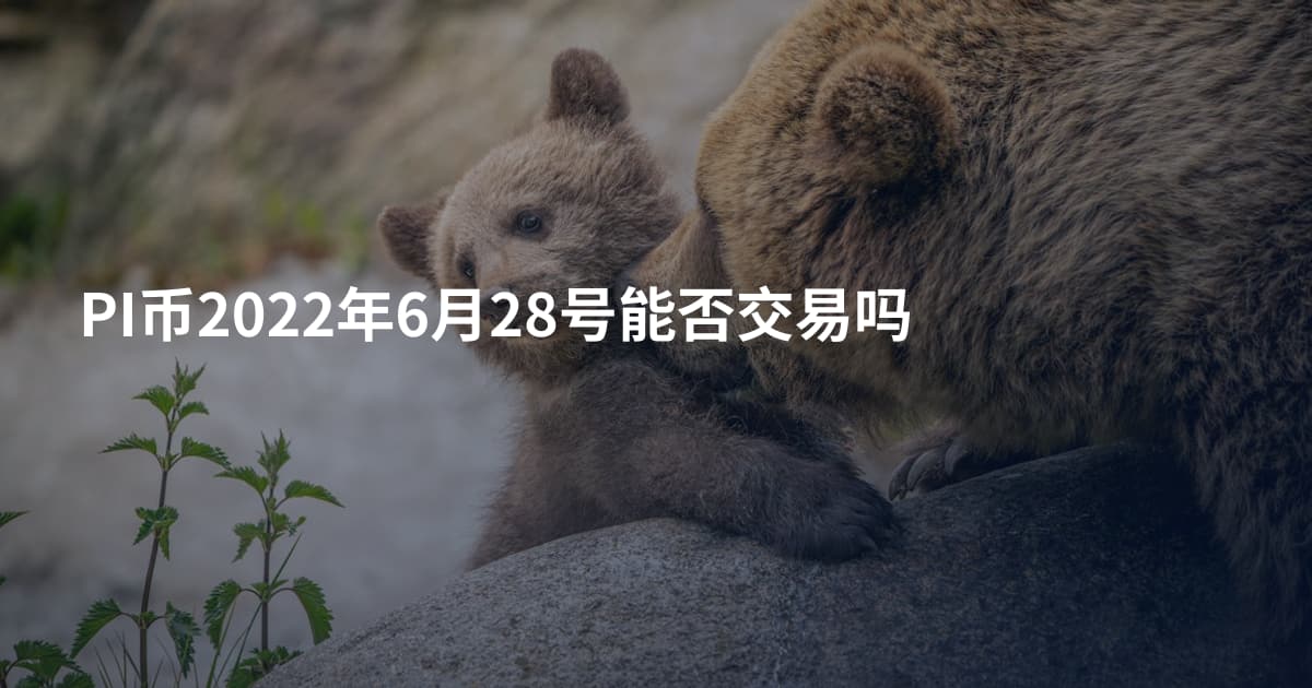 PI币2022年6月28号能否交易吗