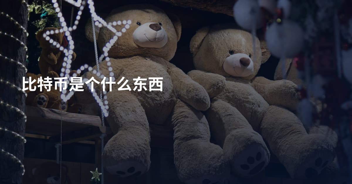 比特币是个什么东西