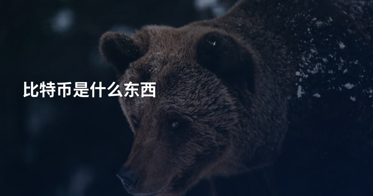 比特币是什么东西