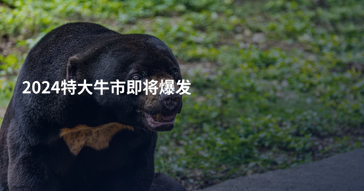 2024特大牛市即将爆发