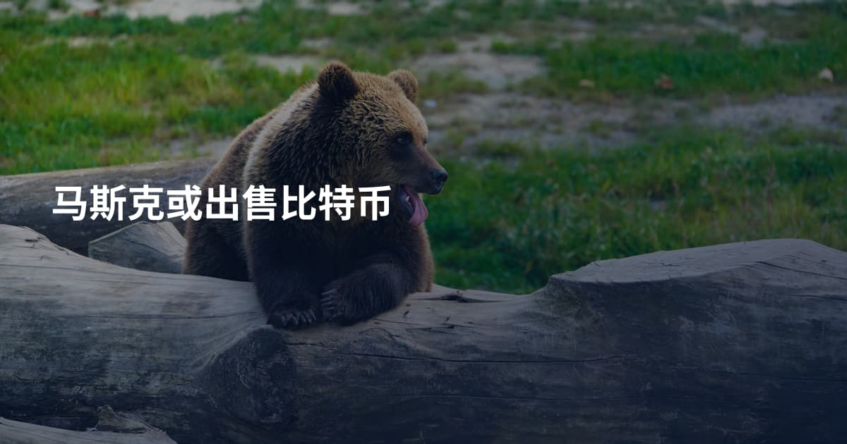 马斯克或出售比特币