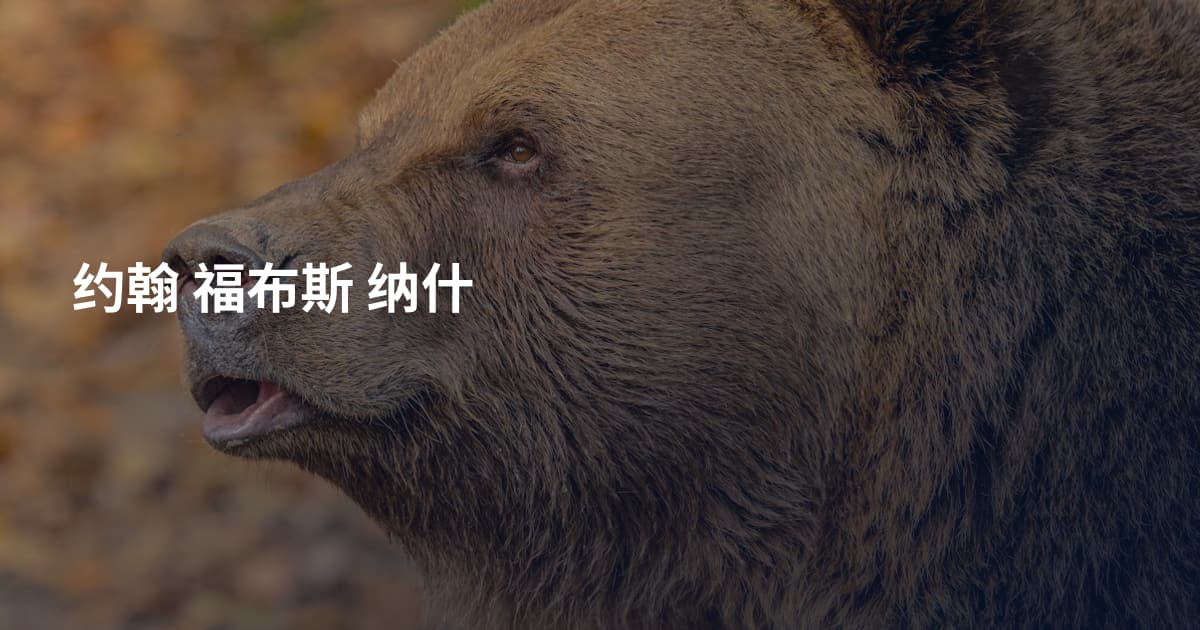 约翰 福布斯 纳什