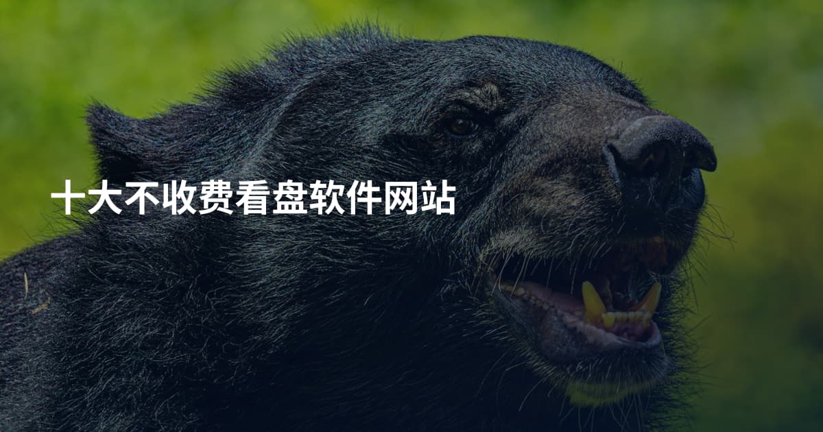 十大不收费看盘软件网站