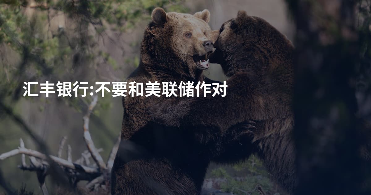 汇丰银行:不要和美联储作对