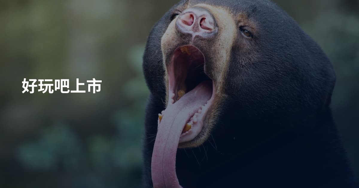 好玩吧上市