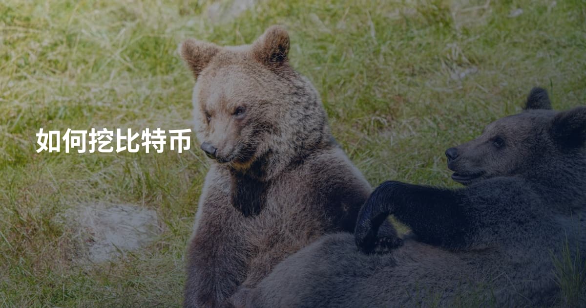 如何挖比特币