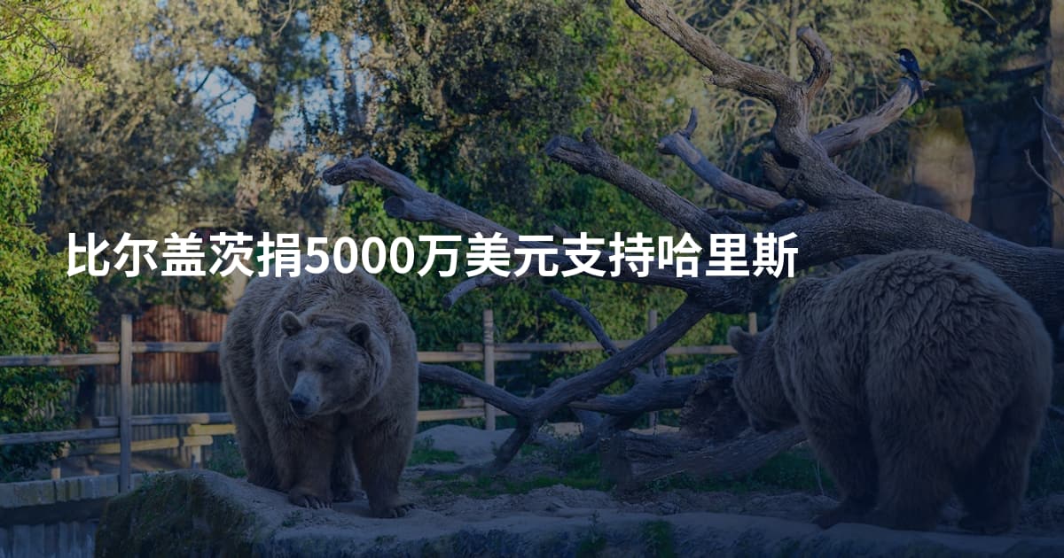 比尔盖茨捐5000万美元支持哈里斯