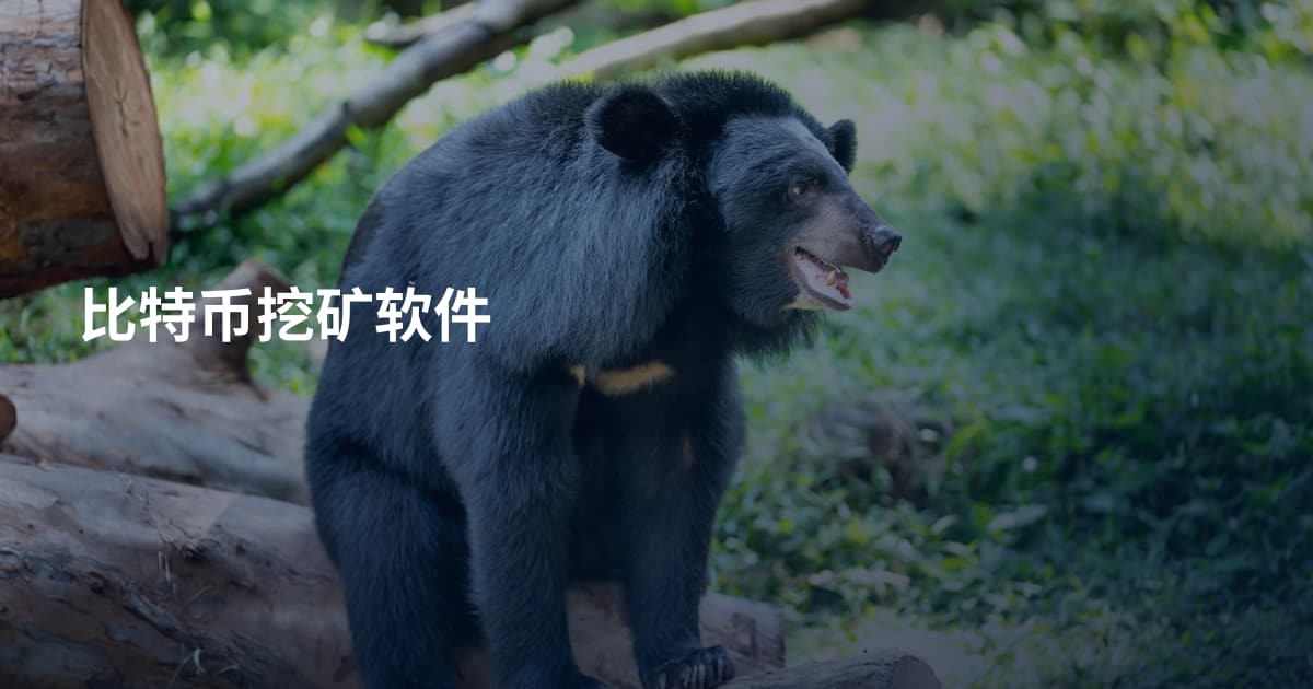 比特币挖矿软件
