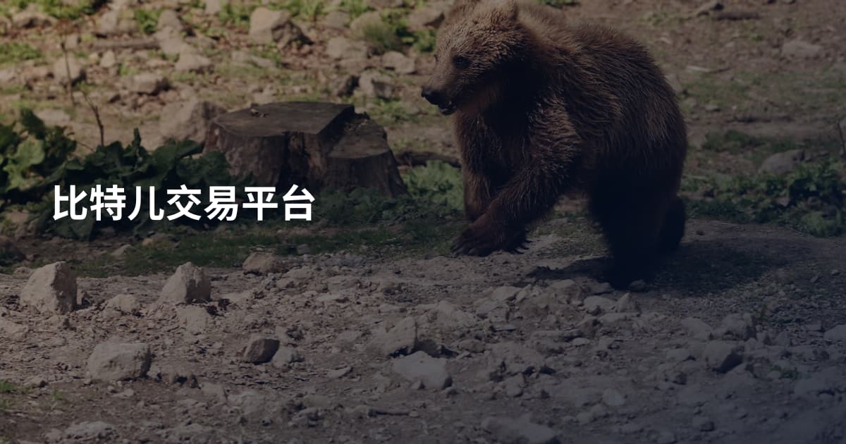 比特儿交易平台