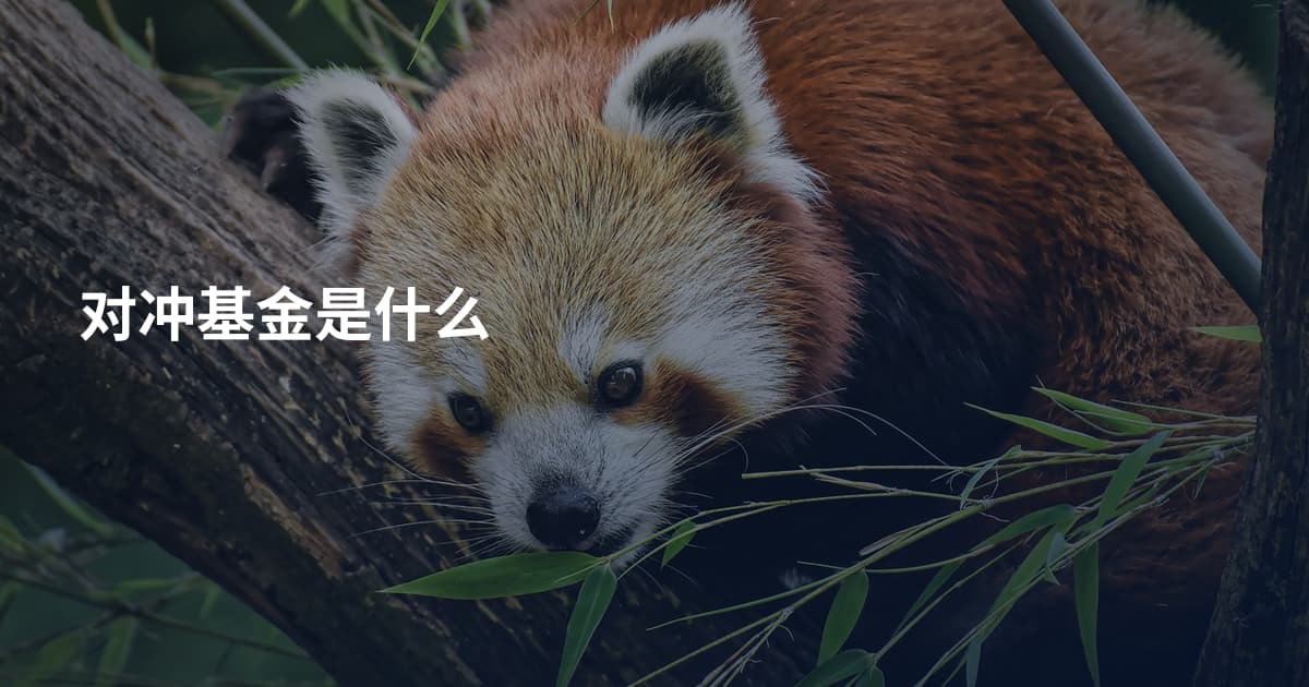 对冲基金是什么