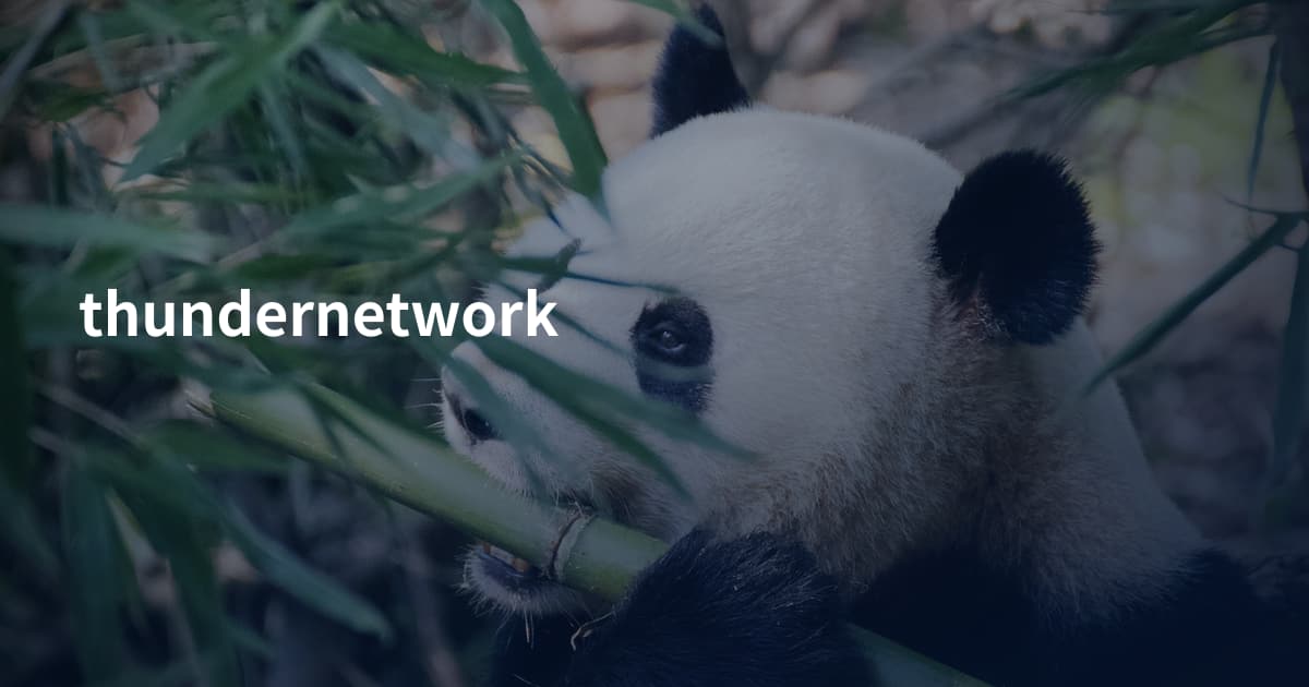 thundernetwork