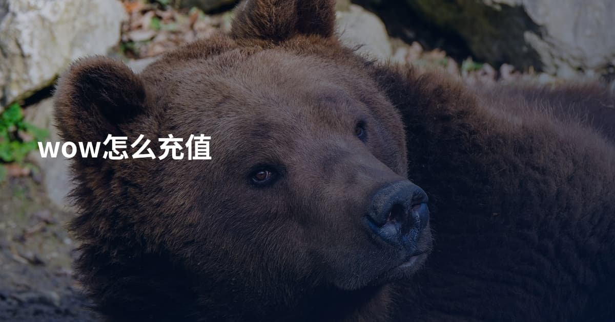 wow怎么充值