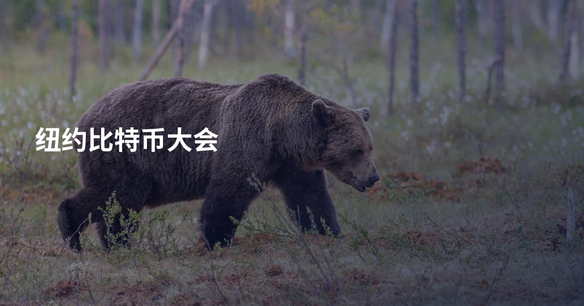 纽约比特币大会