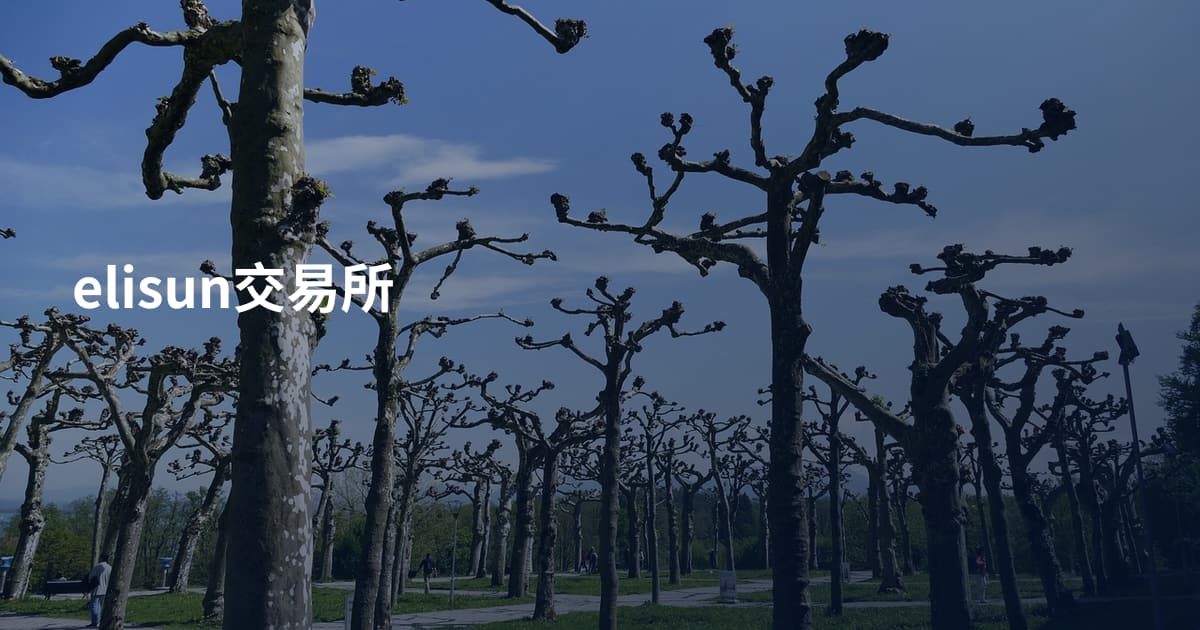 elisun交易所