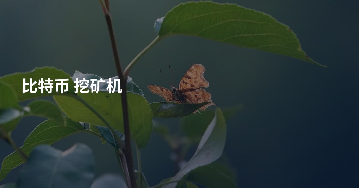 比特币 挖矿机